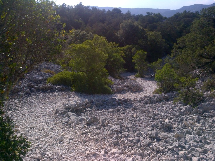 Schöner Downhill!!!