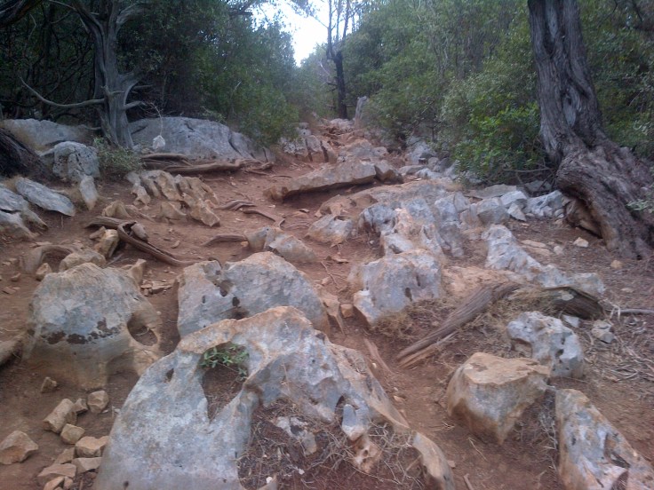 Vorsichtig laufen, sonst geht da nichts