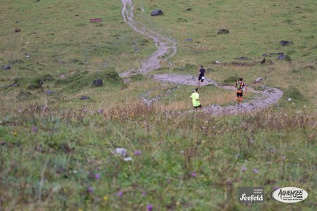 10556987 762727047097730 670806932824890878 o