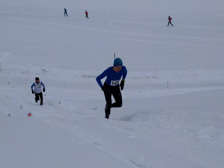 16112843_1717718111874835_7490446293223253085_o